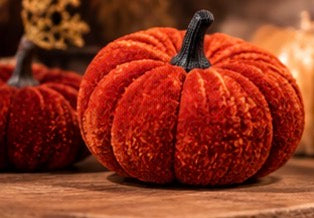 🎃 Halloween Cozy Box - Limited Edition